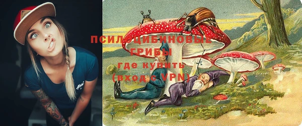 прущие крисы Алзамай